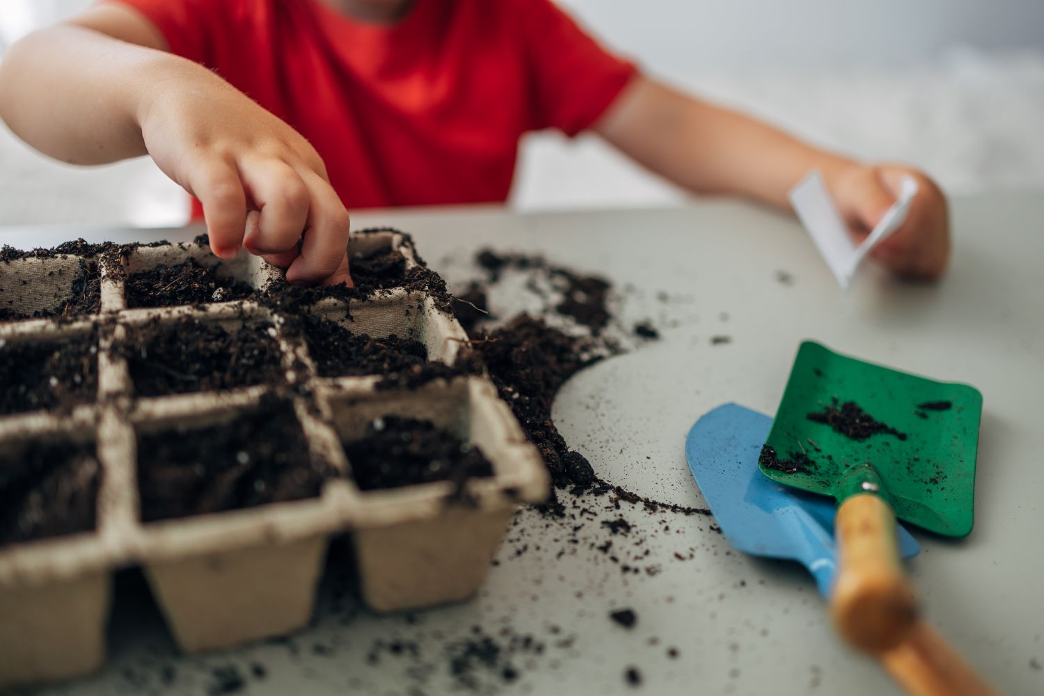 Child planting seeds in a seed tray with gardening tools nearby