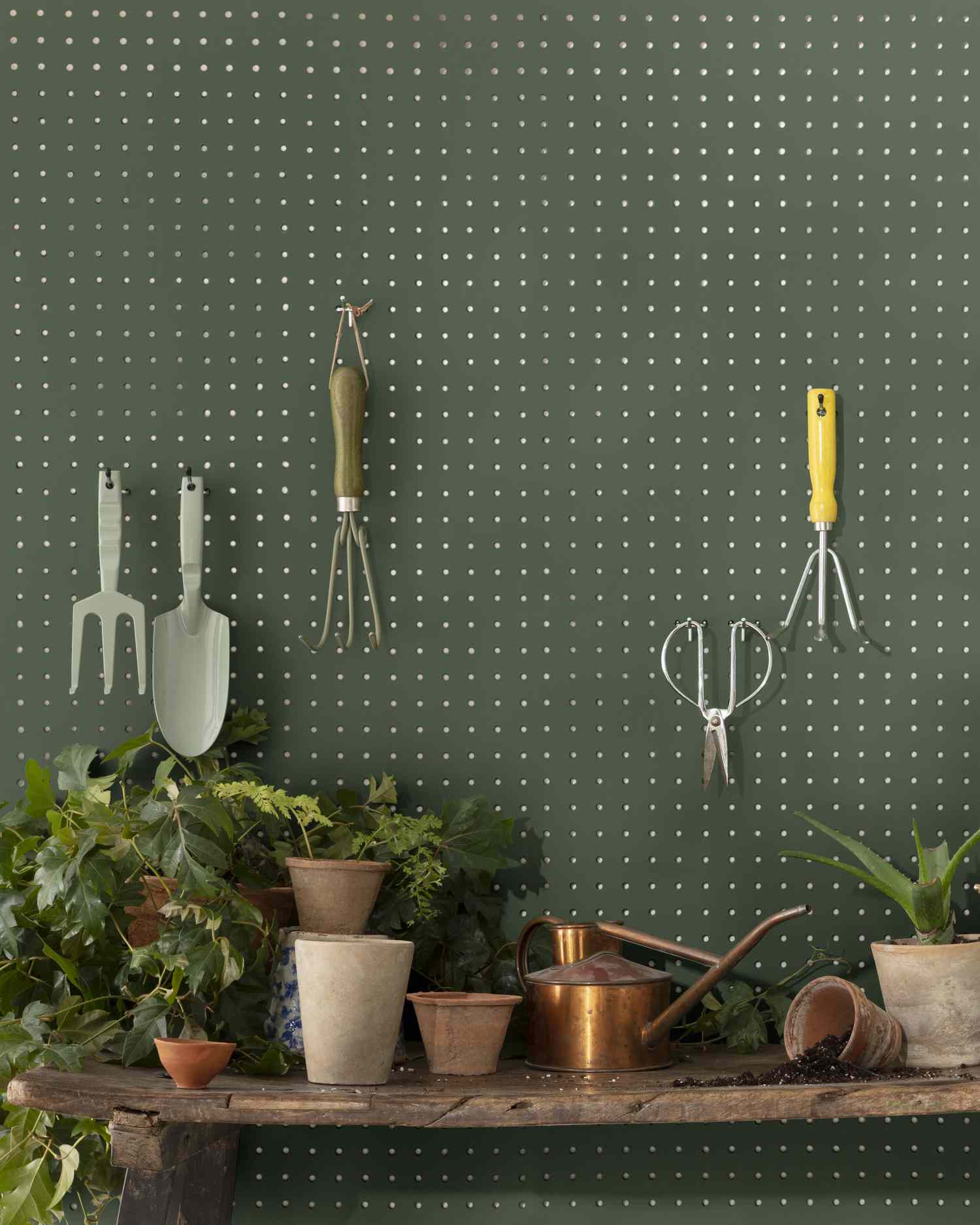 Backwoods Benjamin Moore