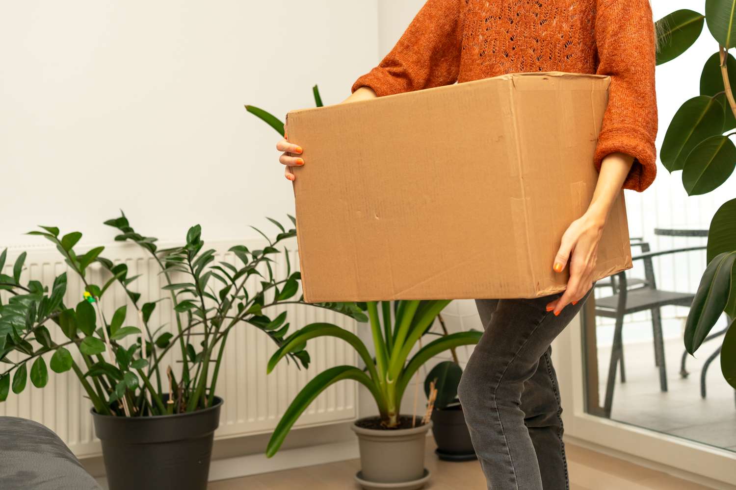 Person holding a cardboard box indoor setting with plants in the background
