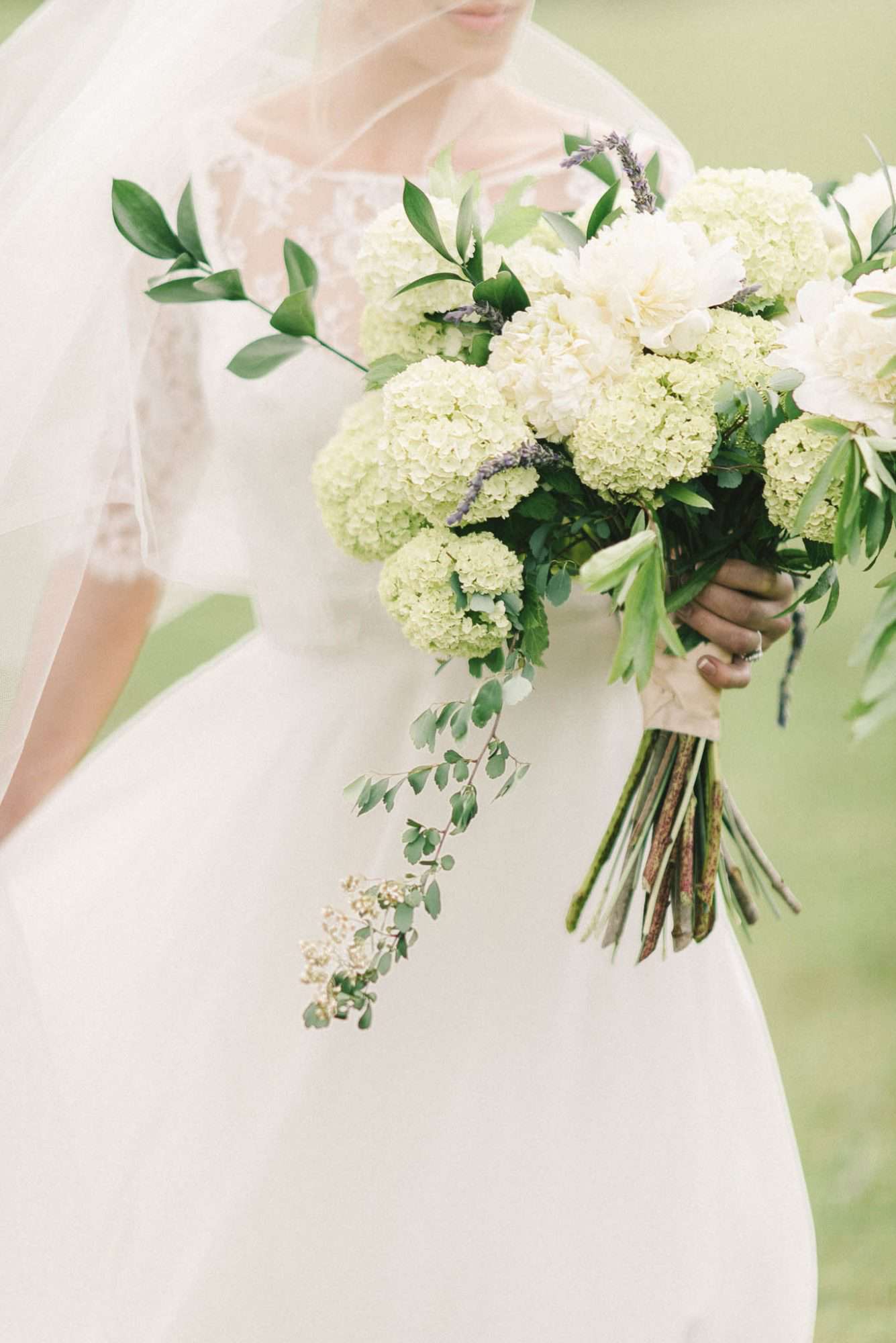 hydrangea bouquets elizabeth fogarty