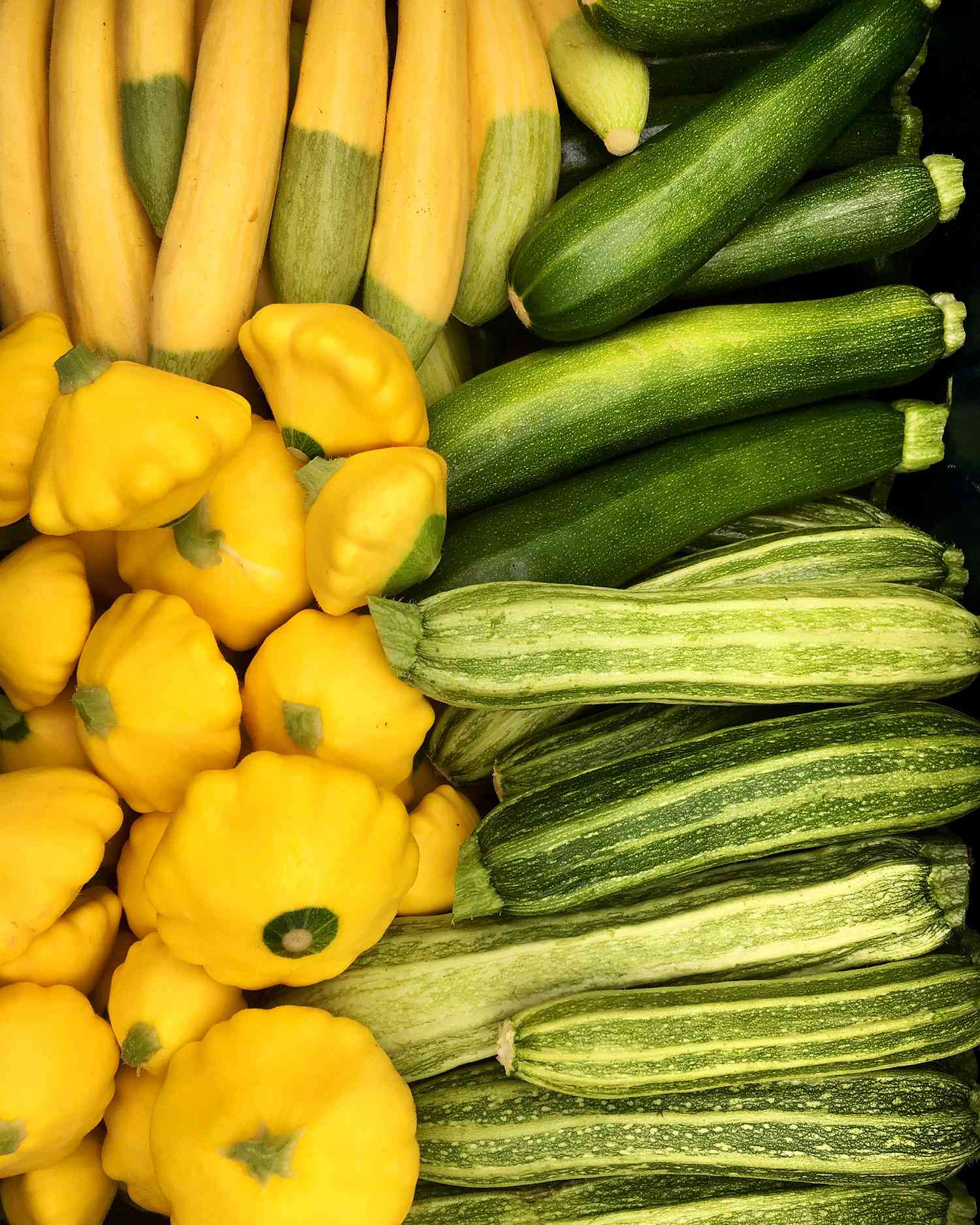 late summer squash ten mothers farm vegetables