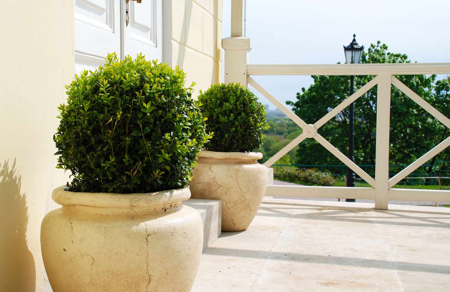 Porch with topiaries