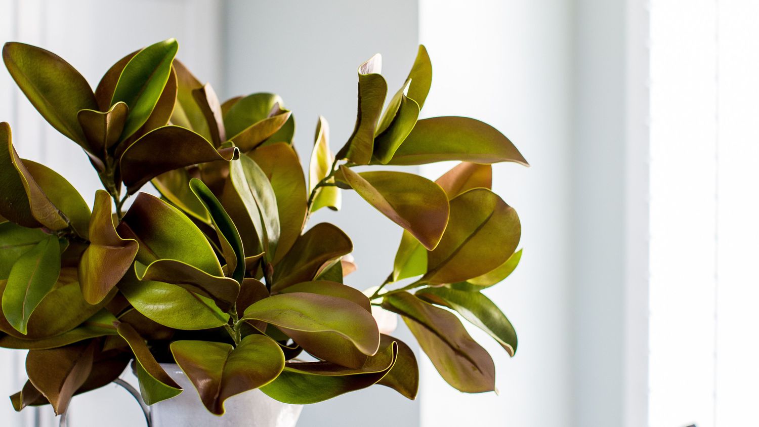 utah kitchen makeover