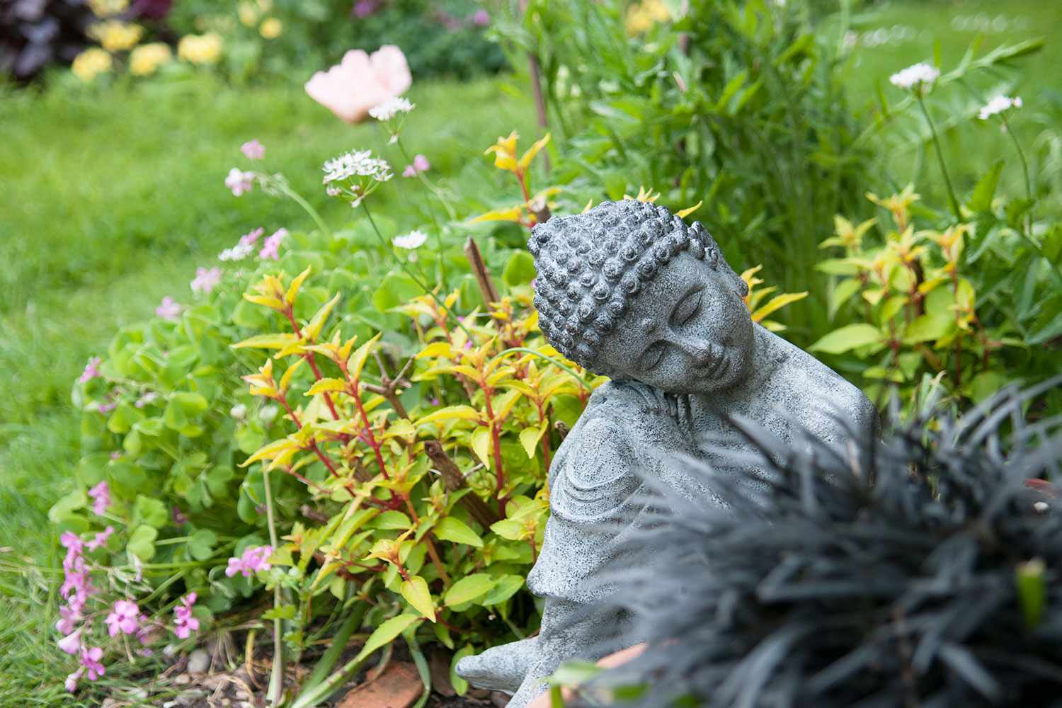 Garden with stone feature