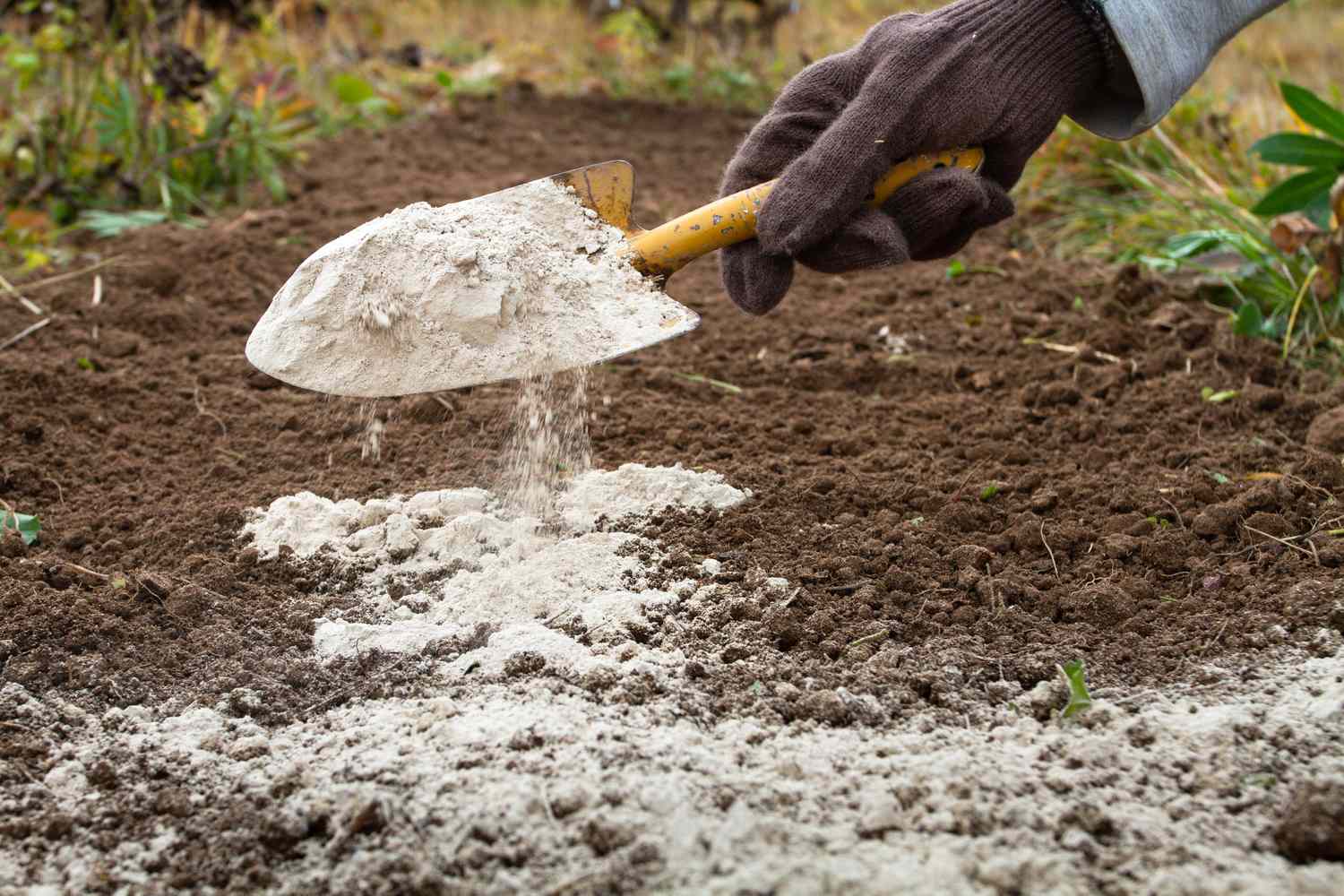 flour in garden