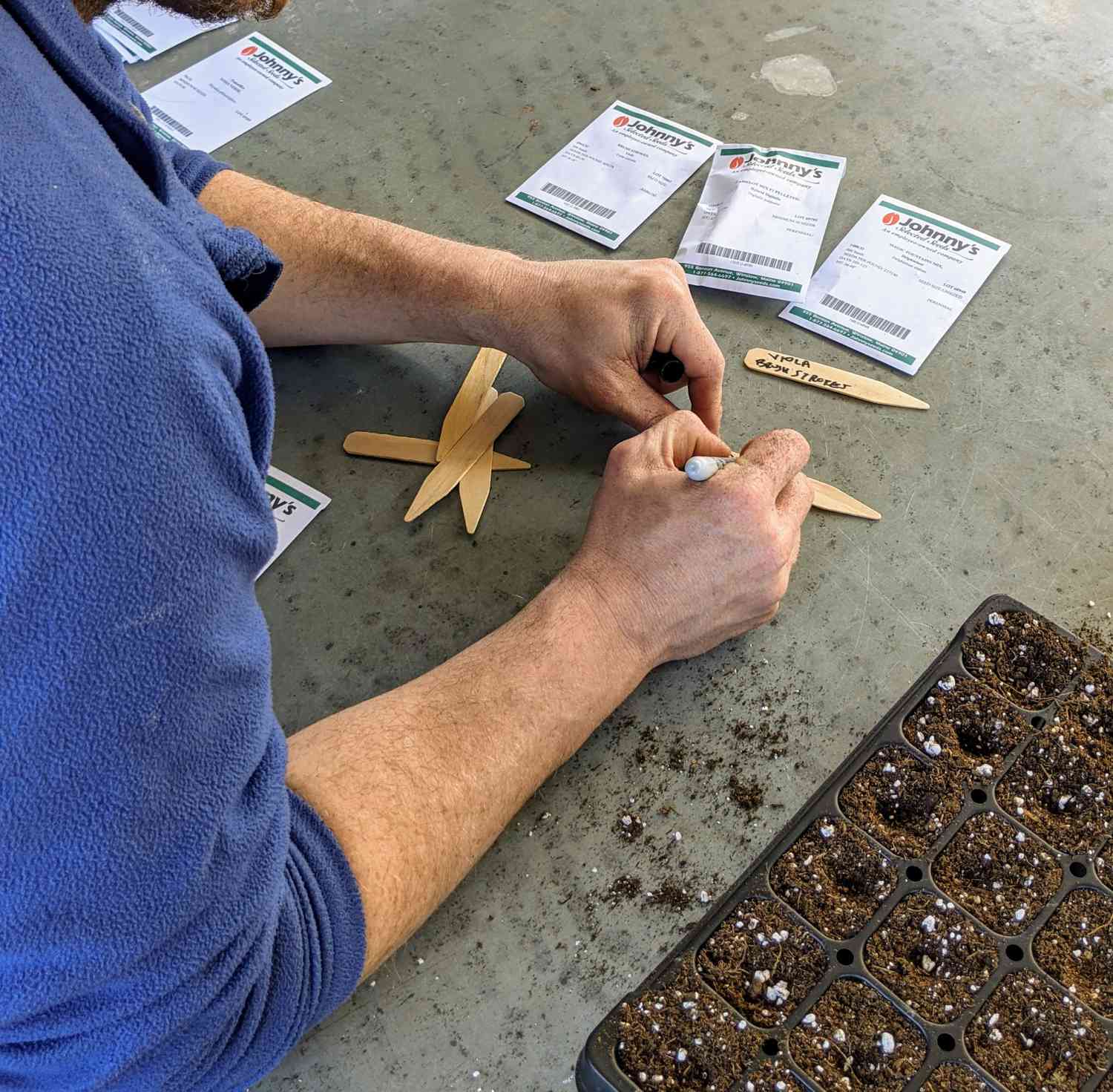 Writing on sticks for seed starting