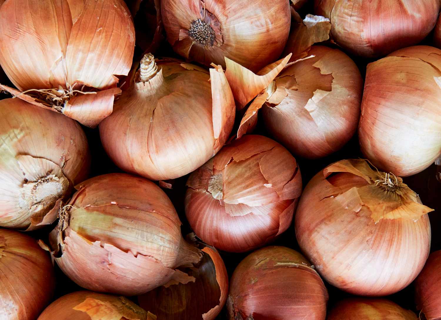 overhead view of multiple onions