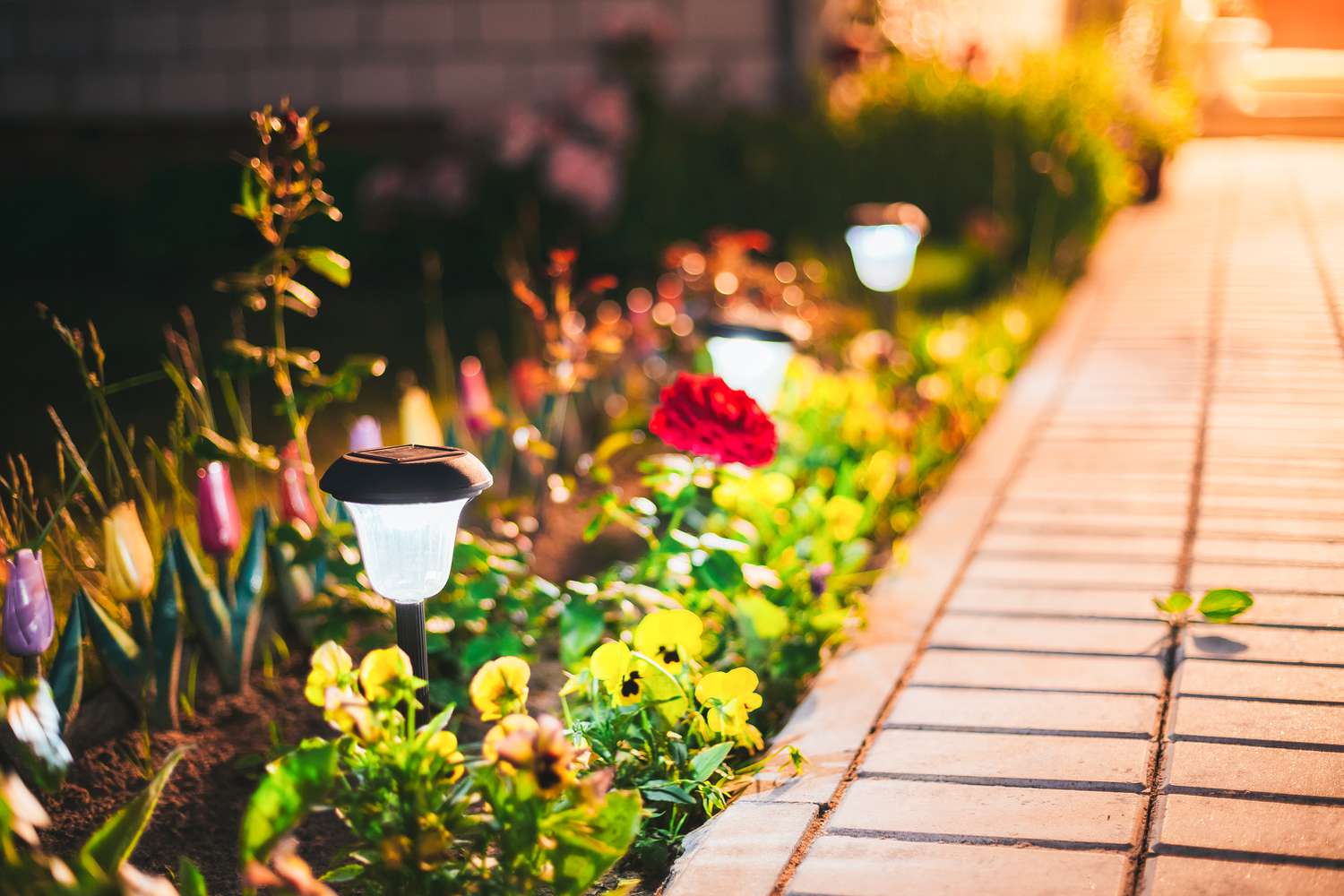 Solar lights outside home