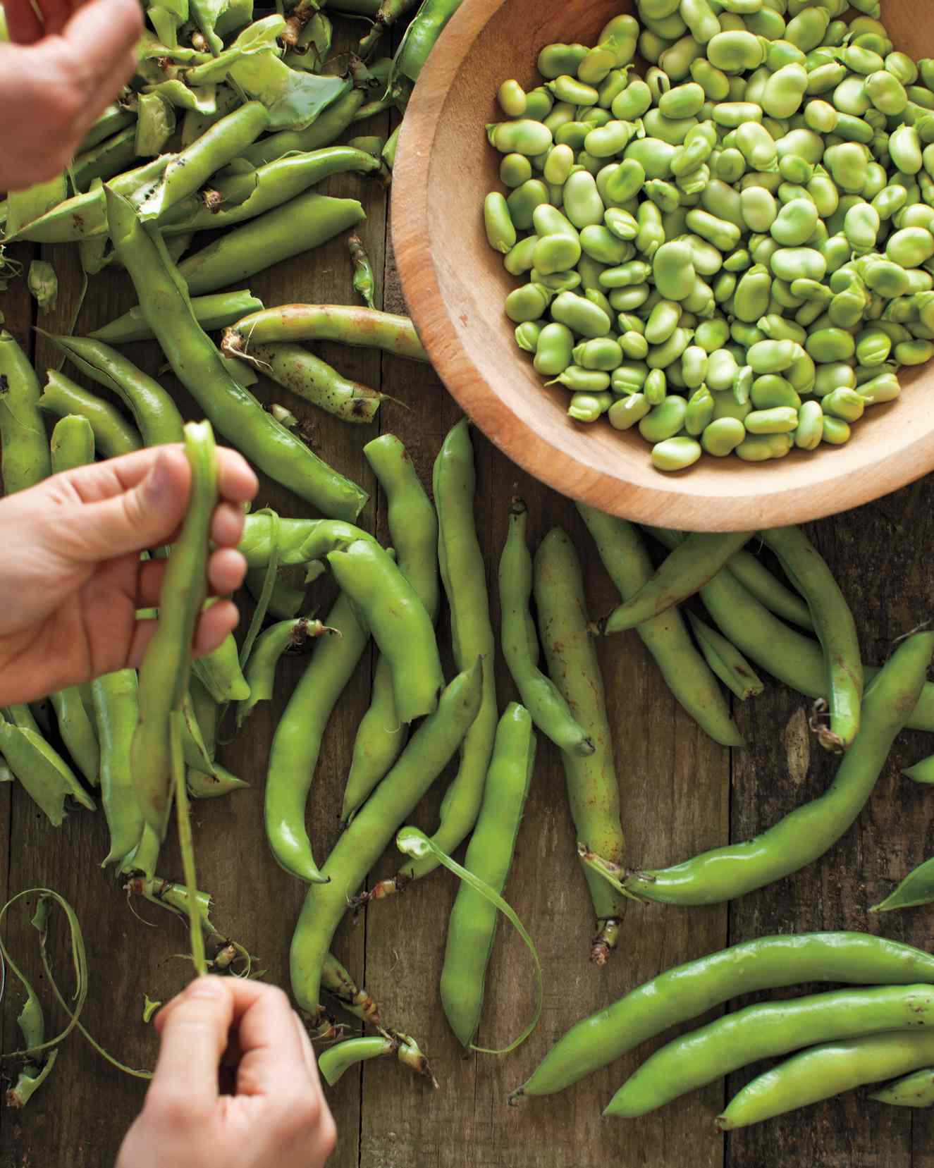 fava-beans-md108648.jpg