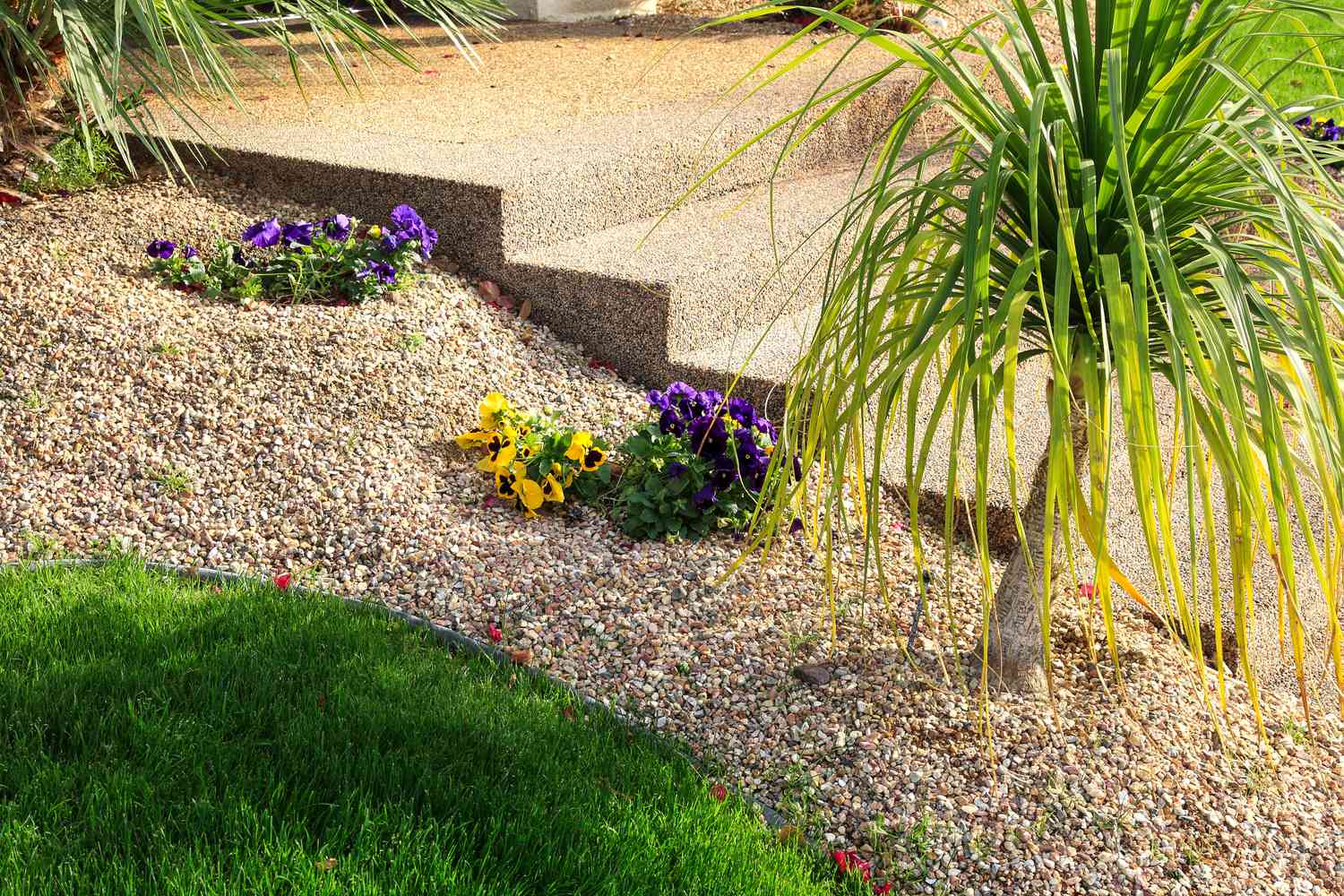 water conservation lawn