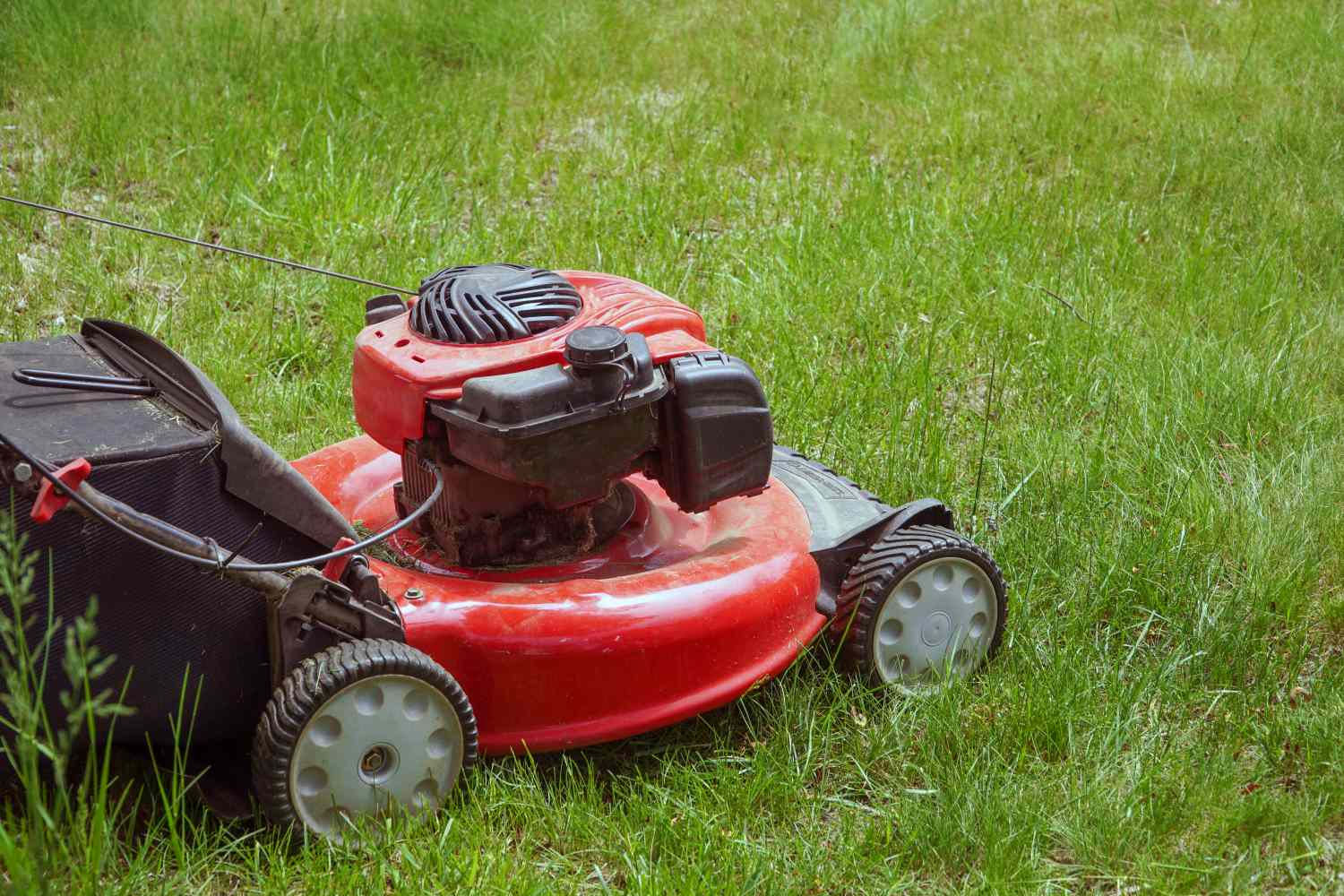A lawn mower in a grassy yard