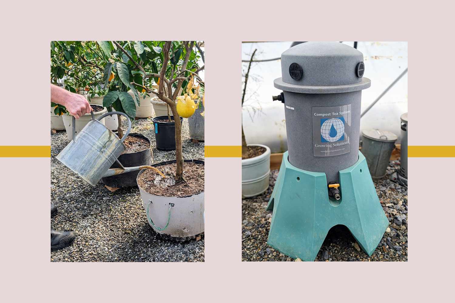 Martha blog compost primary