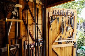 Garden tools organized on a wooden shed interior wall and door, various gardening equipment hanging neatly