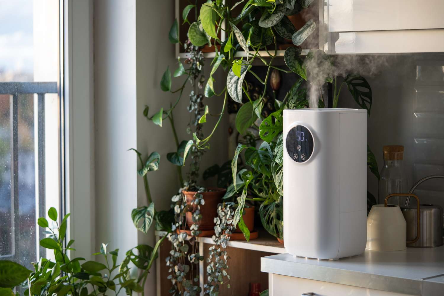 A humidifier emitting steam is placed on a kitchen counter surrounded by indoor plants