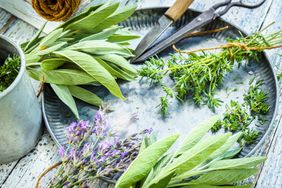 Fresh herbs arranged on a tray with scissors