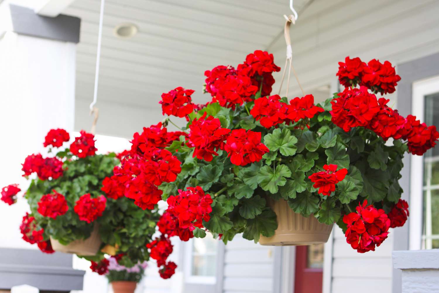 Hanging flower baskets on front porch