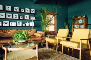 stylish living room interior with green painted walls