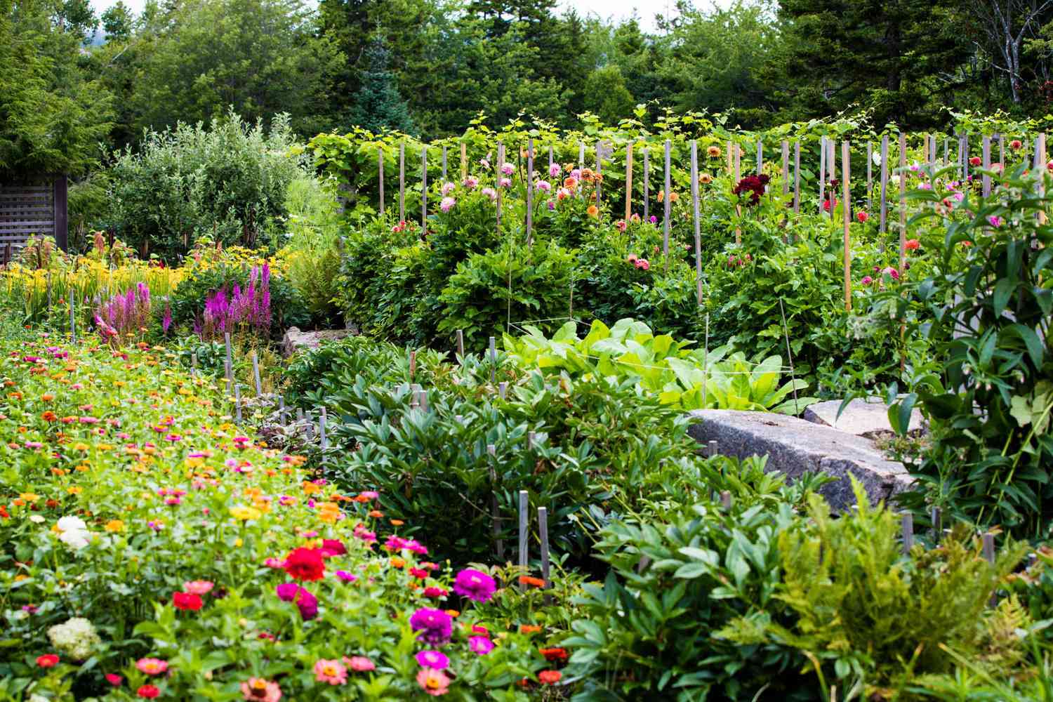 Martha's vibrant color garden at Skylands