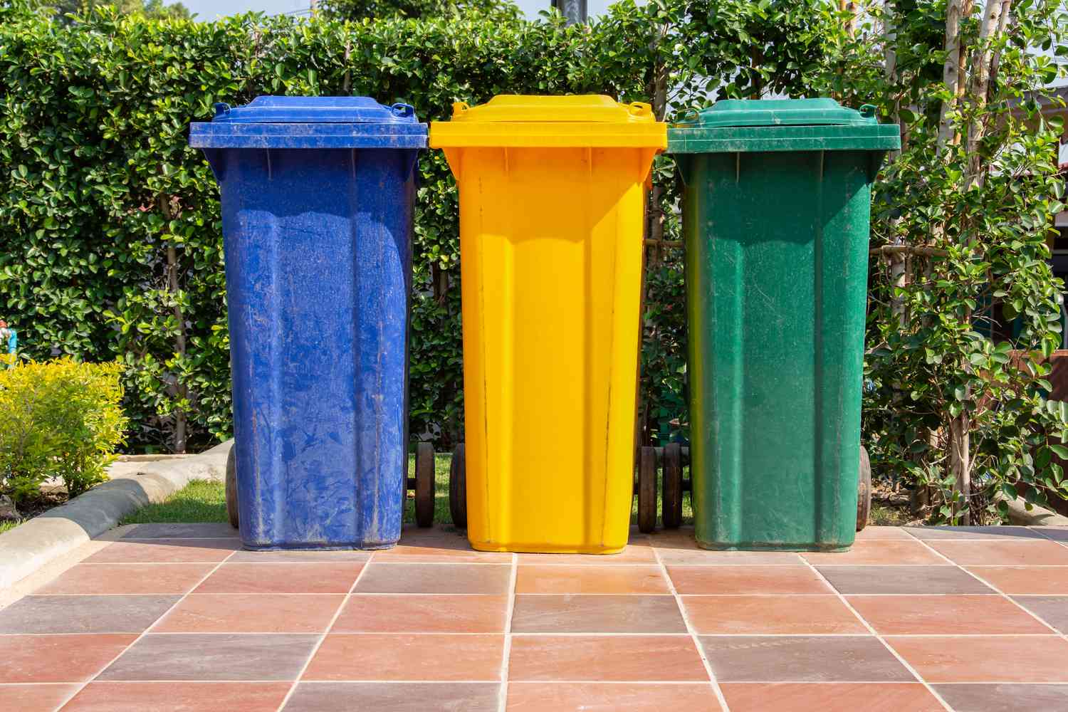 trash bins in bakyard