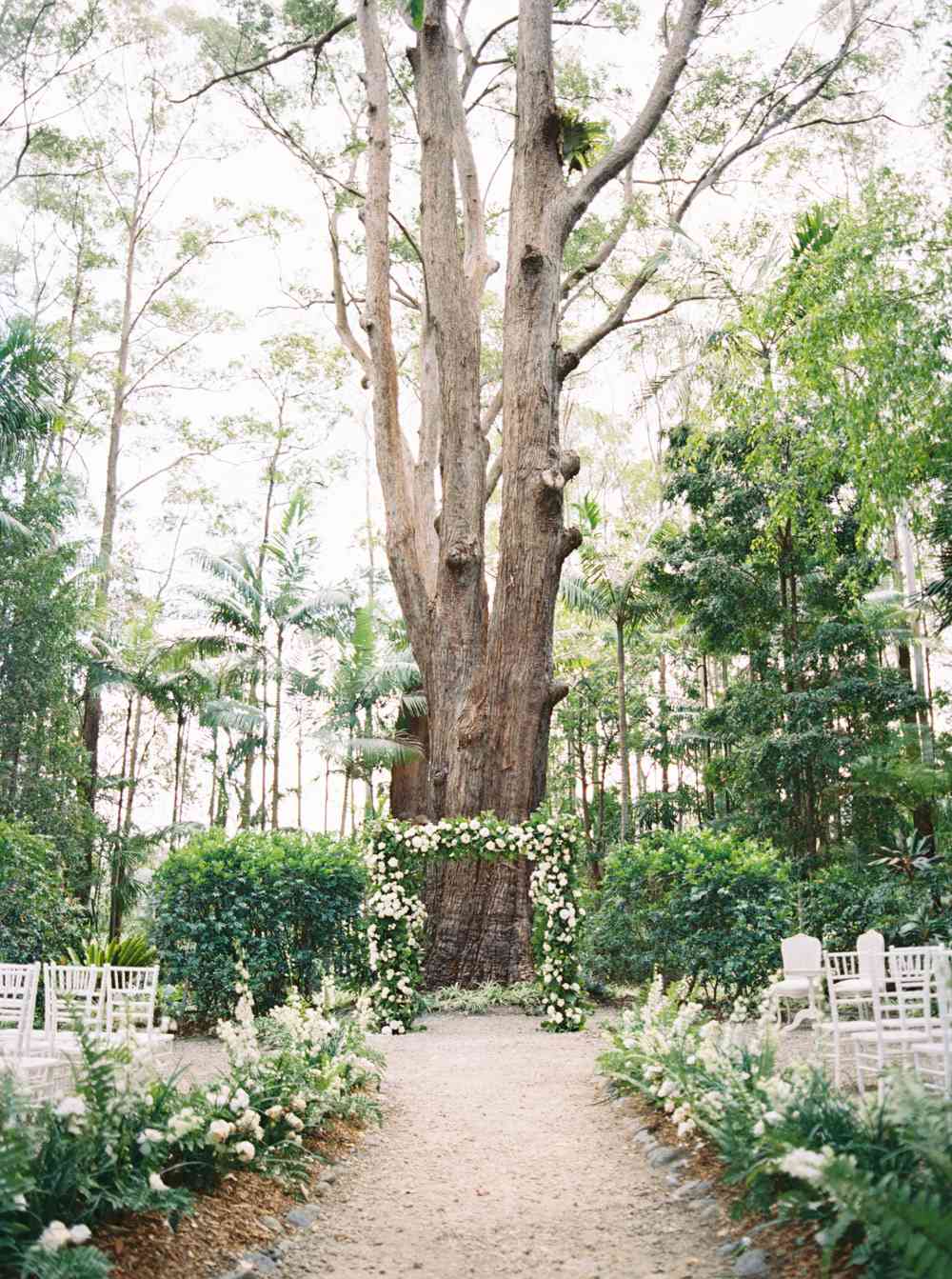 floral ceremony arch in front of tree