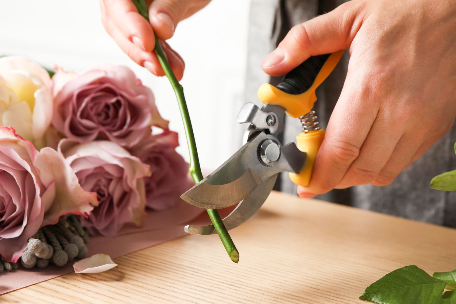 recutting flower stems