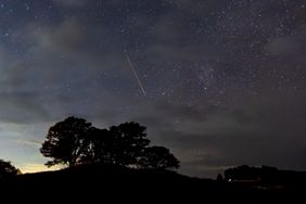 Silhouetted trees beneath a starry night sky with a visible streak from a meteor or shooting star