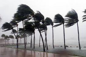 Hurricane Irma seen striking Miami, Florida with 100+ mph winds and destructive storm surge.