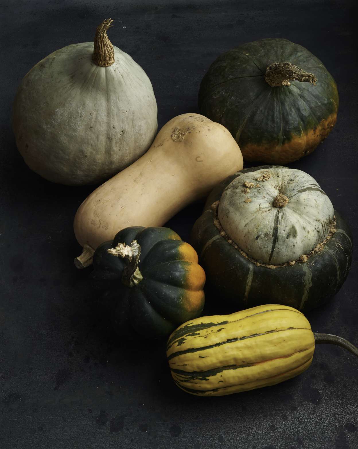 winter squash assortment on slate surface