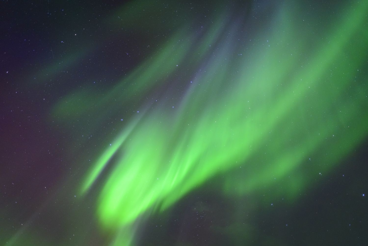 Northern lights in the night sky