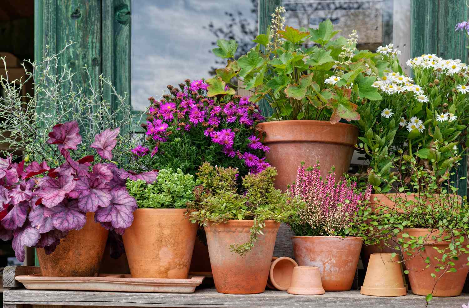 contrast between hardwood floor & carpet