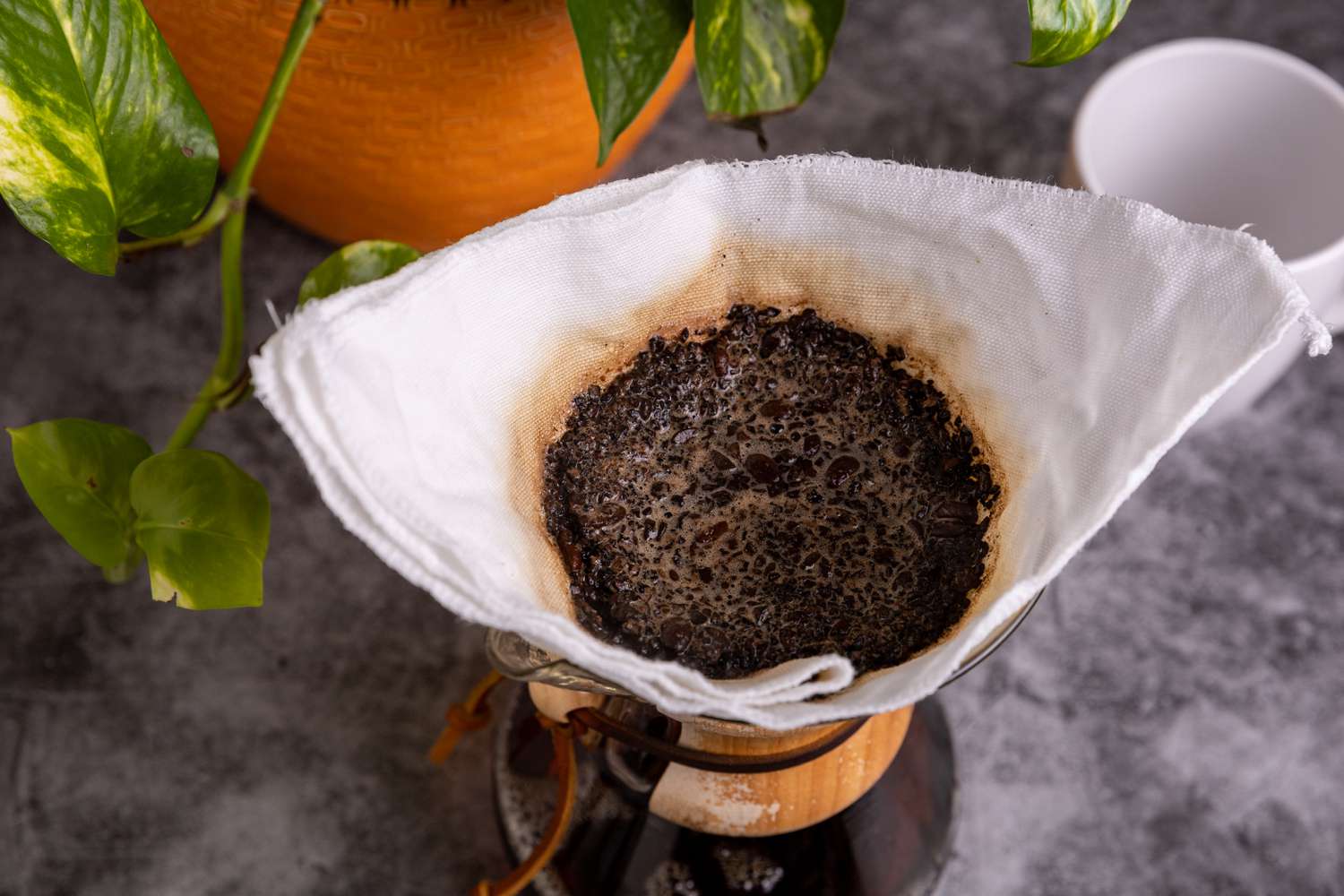 Bright, vibrant picture of drip coffee with a dark grey counter top and a green plant behind the coffee pot