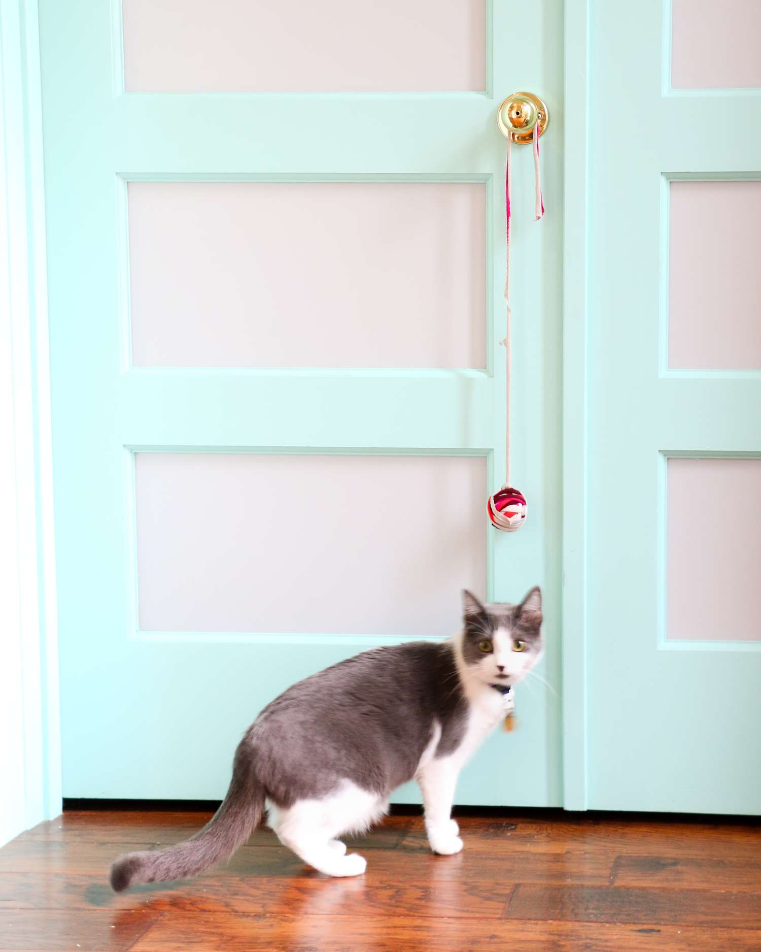 knotted cat toy hanging from doorknob