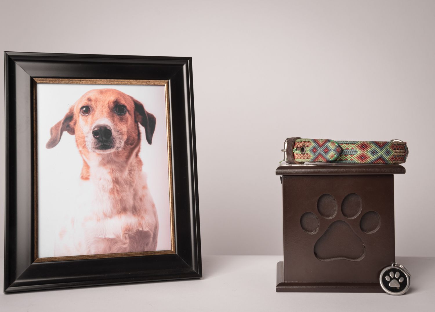 A framed photo of a dog a decorative box with a paw print and a dog collar on top of the box