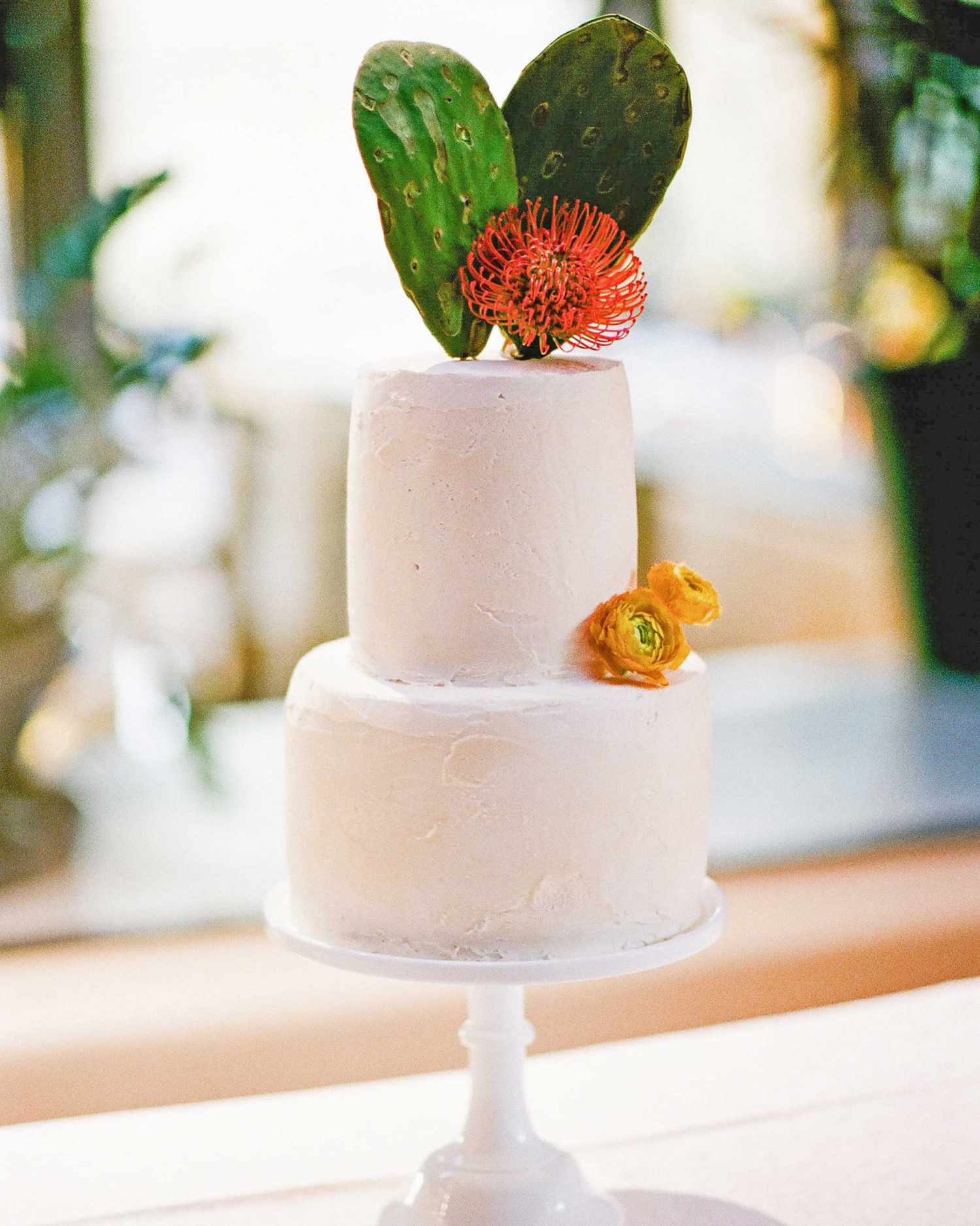 addie alex wedding cake cacti
