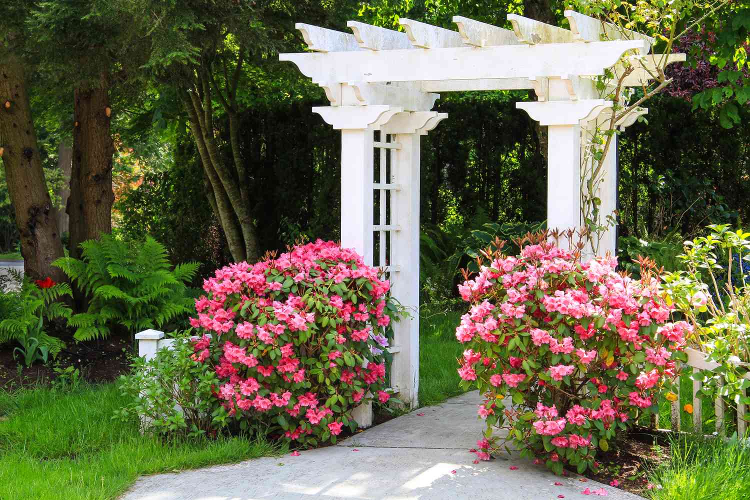 white trellis with flowers surrounding