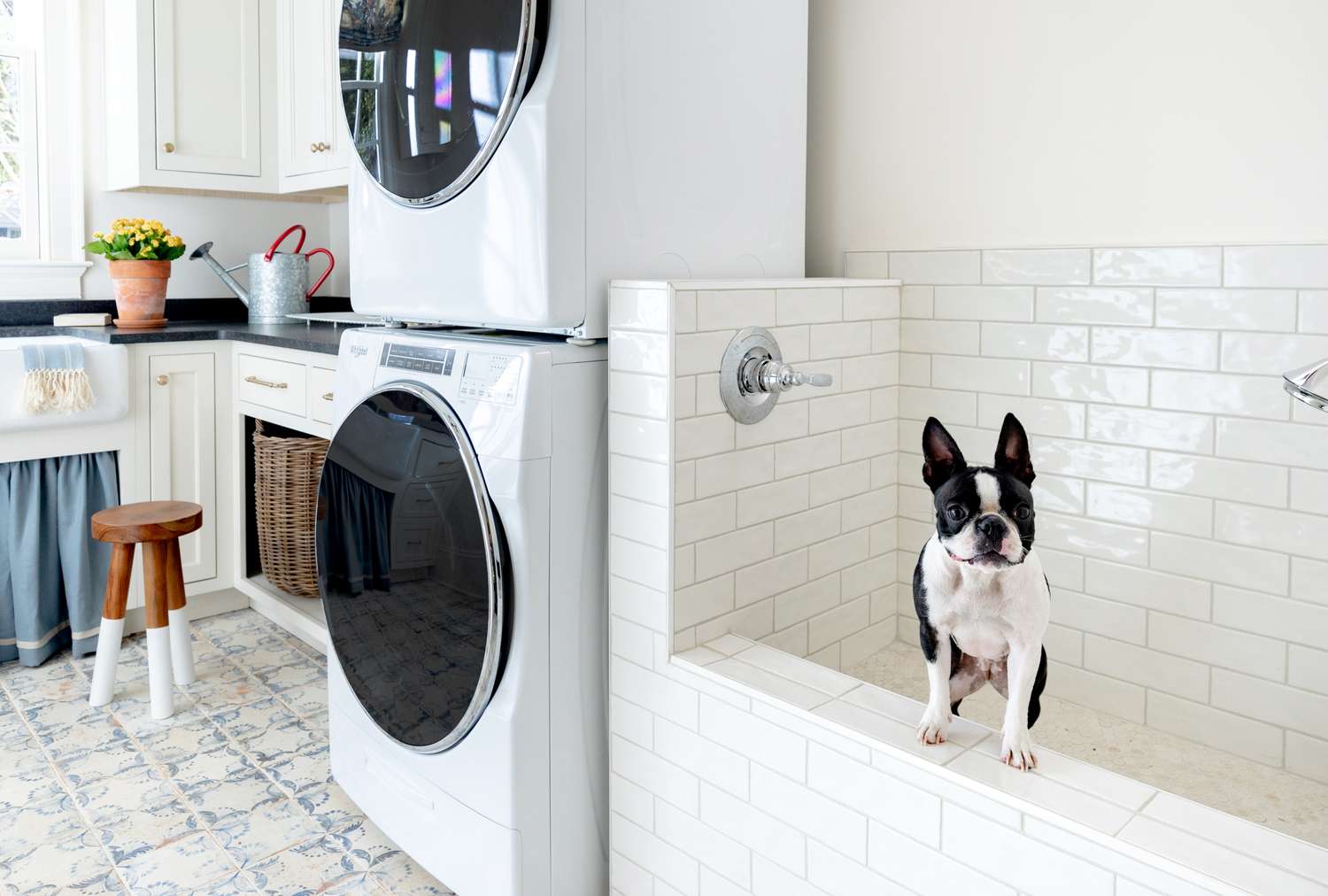 Dog Bath Laundry Room
