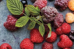 Different types of berries