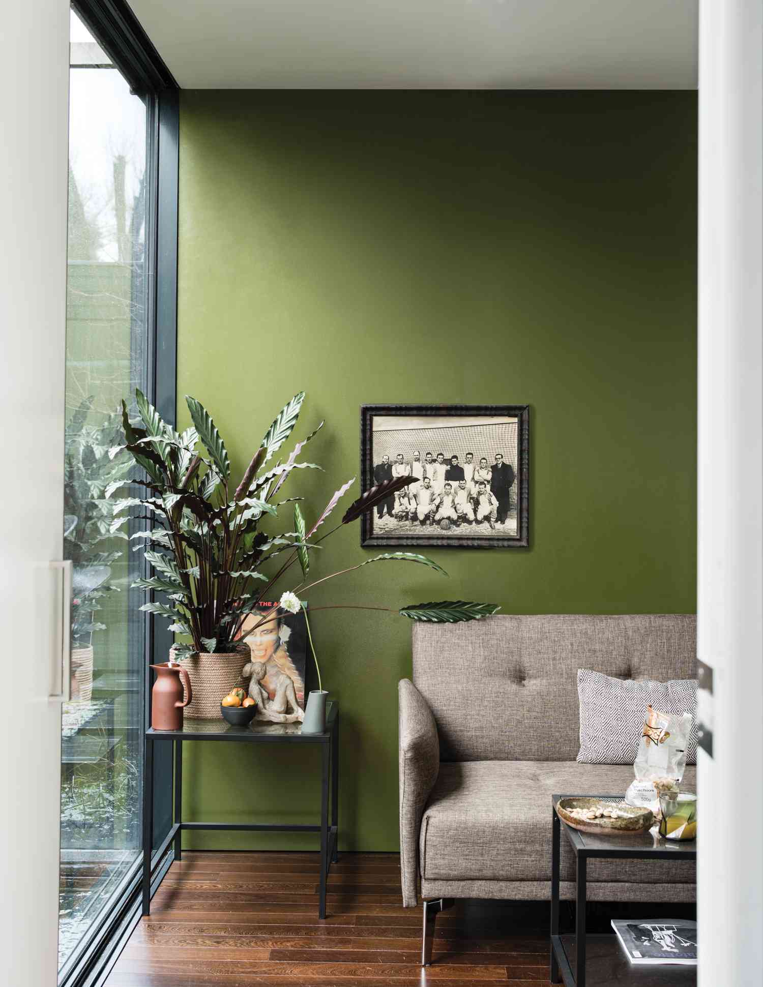 green painted living room with plant near window