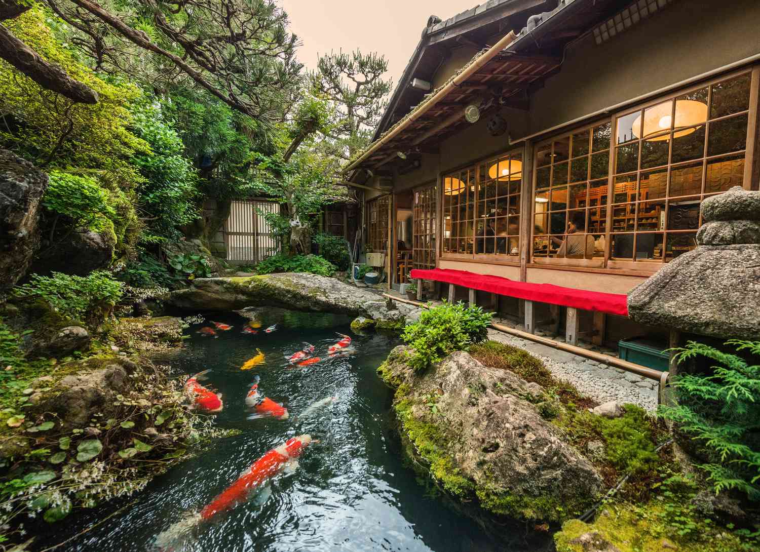 koi pond near windows