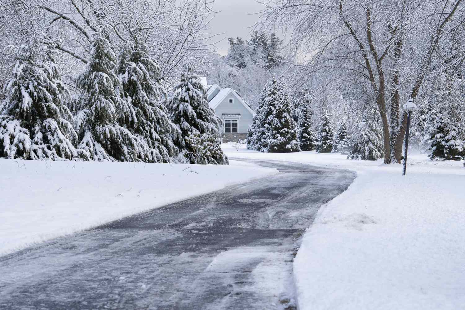 Snowcovered landscape with a clear driveway leading to a house surrounded by trees