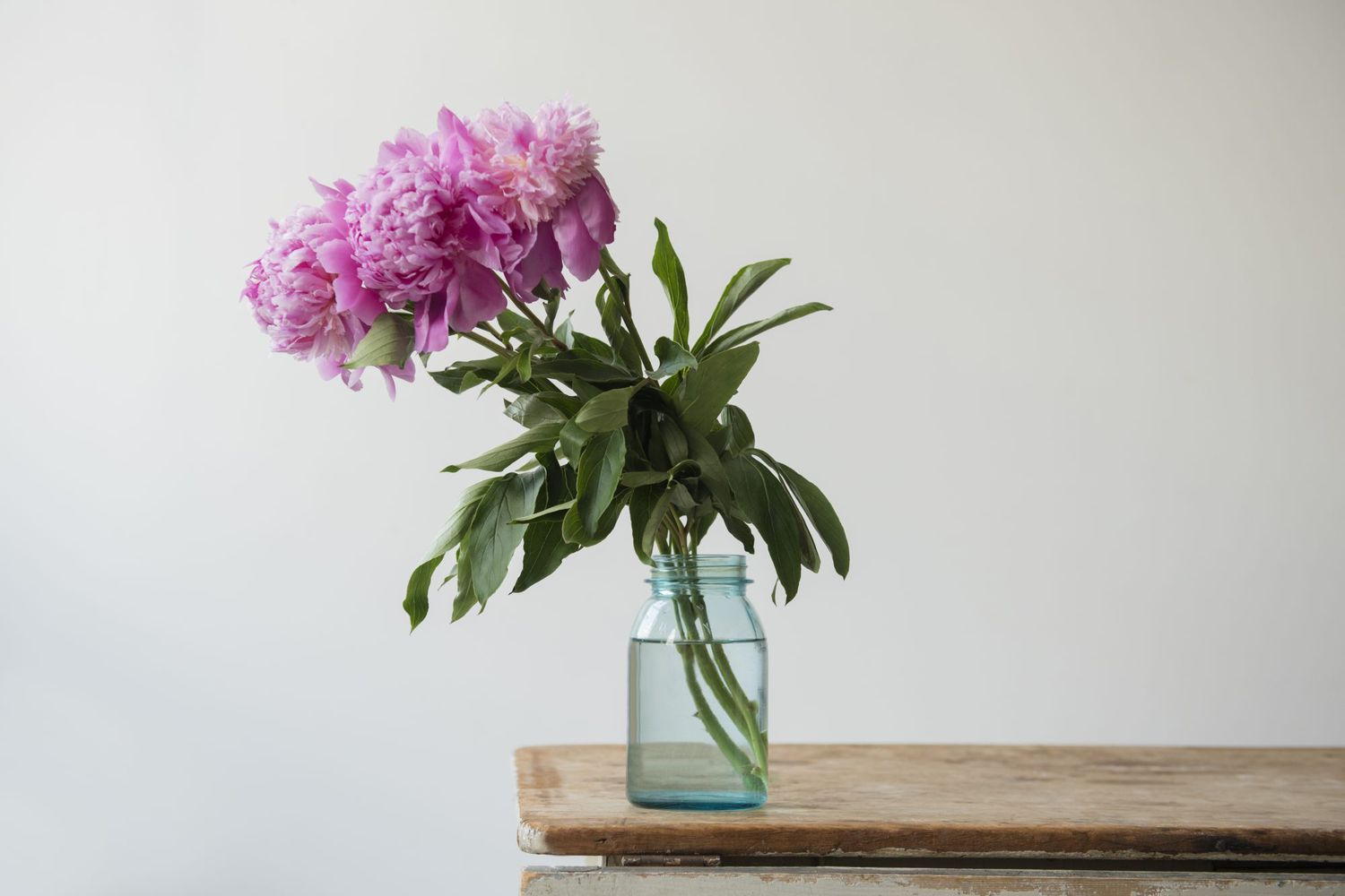 peonies in jar on table