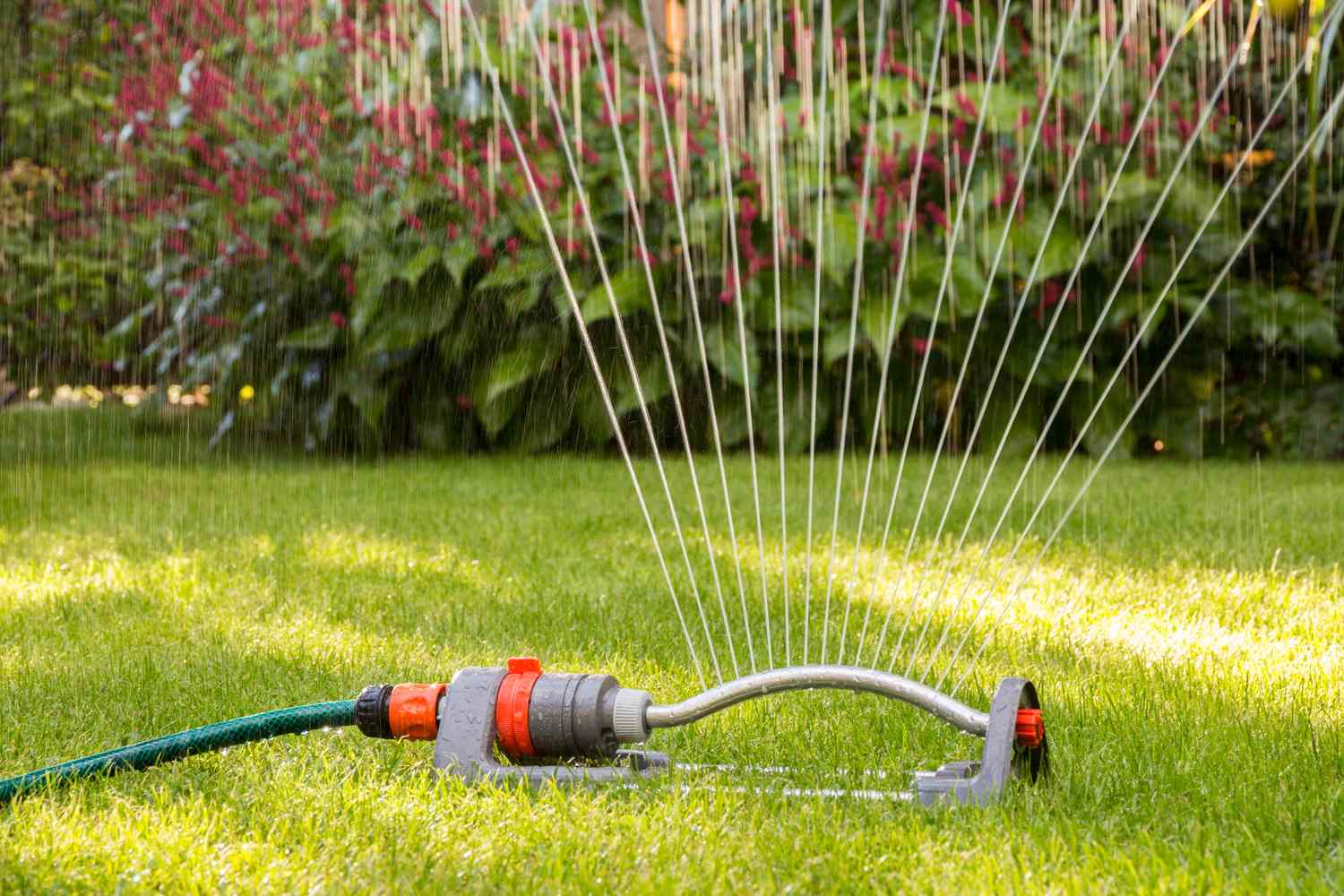 Lawn sprinkler in operation on a grassy area