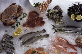 Fish and Shellfish Counter