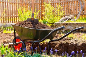compost in garden