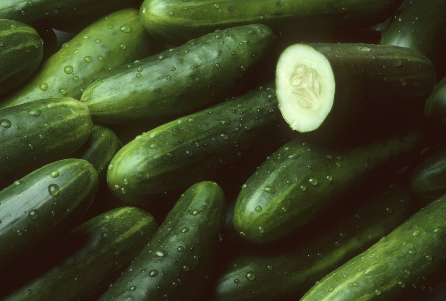 A pile of fresh cucumbers with one sliced open