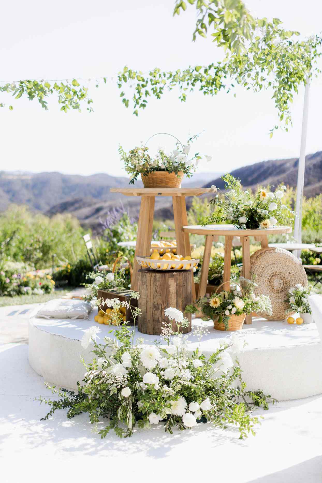 engagement party decor with lemons and florals