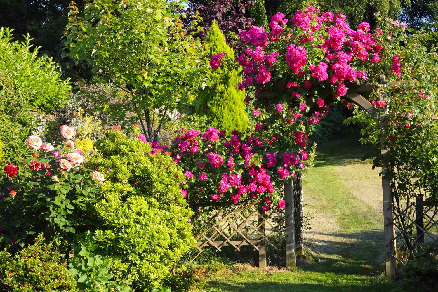 Garden archway covered with vibrant flowers and surrounded by foliage