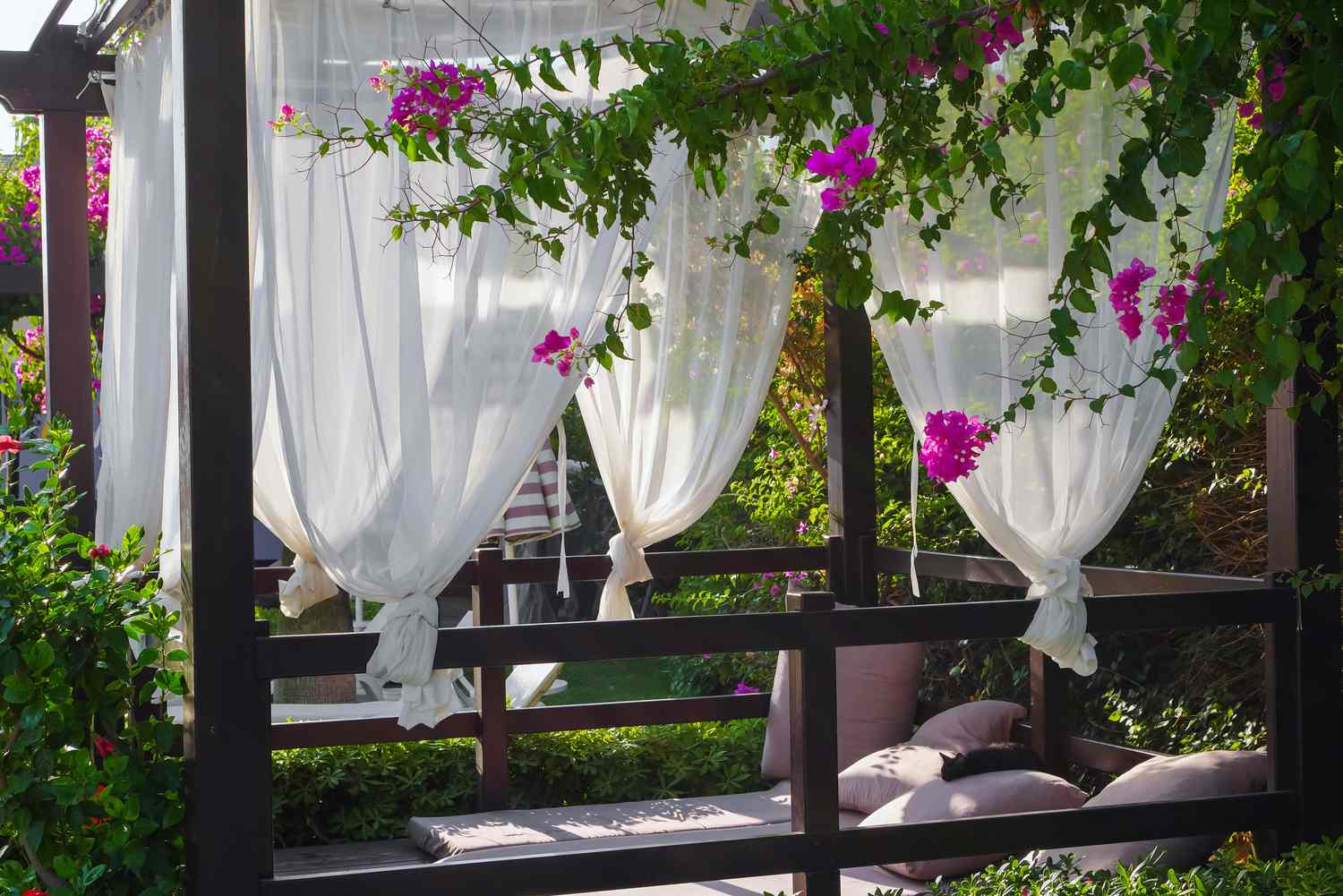 A pergola with flowing white curtains around its structure, surrounded by greenery and bougainvillaea flowers