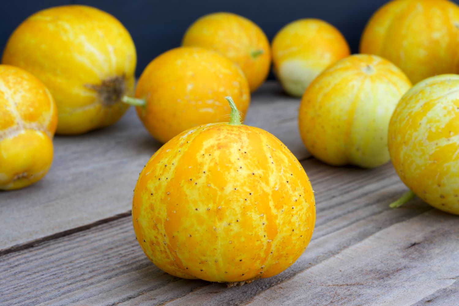 lemon cucumbers 