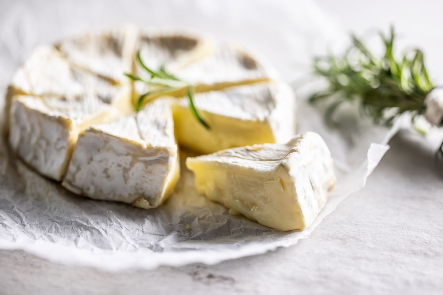 French Camembert soft cheese on baking paper with rosemary.